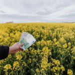 crop man with paper banknotes on blooming meadow